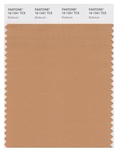 Pantone Smart 16-1341 TCX Color Swatch Card | Butterum 