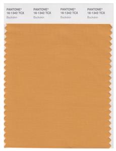 Pantone Smart 16-1342 TCX Color Swatch Card | Buckskin 