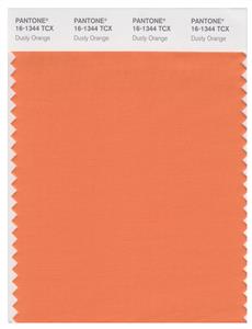 Pantone Smart 16-1344 TCX Color Swatch Card | Dusty Orange 