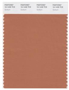 Pantone Smart 16-1429 TCX Color Swatch Card | Sunburn 