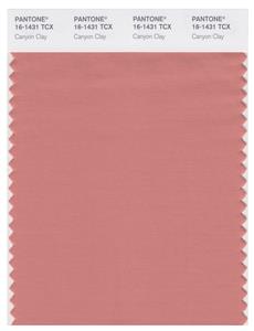 Pantone Smart 16-1431 TCX Color Swatch Card | Canyon Clay 