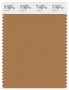 Pantone Smart 16-1432 TCX Color Swatch Card | Almond 