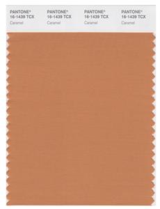 Pantone Smart 16-1439 TCX Color Swatch Card | Caramel 