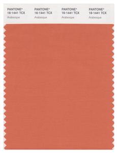 Pantone Smart 16-1441 TCX Color Swatch Card | Arabesque 