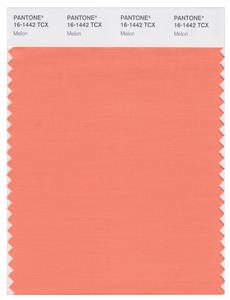 Pantone Smart 16-1442 TCX Color Swatch Card | Melon 