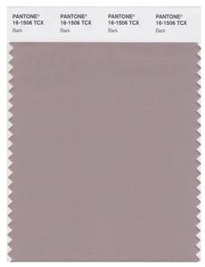 Pantone Smart 16-1506 TCX Color Swatch Card | Bark 