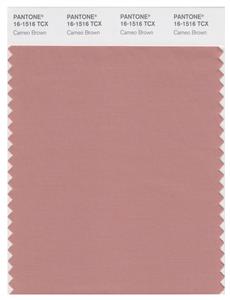 Pantone Smart 16-1516 TCX Color Swatch Card | Cameo Brown 