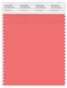 Pantone Smart 16-1544 TCX Color Swatch Card | Persimmon 