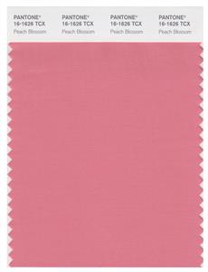 Pantone Smart 16-1626 TCX Color Swatch Card | Peach Blossom 