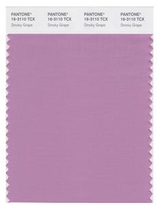 Pantone Smart 16-3110 TCX Color Swatch Card | Smoky Grape 