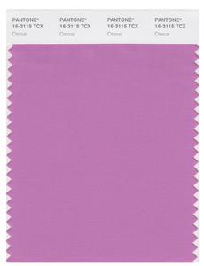 Pantone Smart 16-3115 TCX Color Swatch Card | Crocus 