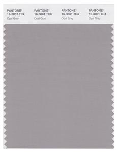 Pantone Smart 16-3801 TCX Color Swatch Card | Opal Gray 