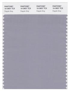 Pantone Smart 16-3907 TCX Color Swatch Card | Dapple Gray 