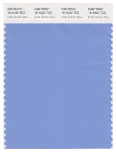 Pantone Smart 16-4020 TCX Color Swatch Card | Della Robbia Blue 