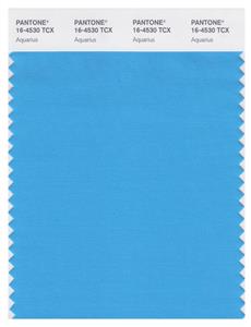 Pantone Smart 16-4530 TCX Color Swatch Card | Aquarius 