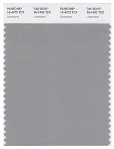 Pantone Smart 16-4702 TCX Color Swatch Card | Limestone 