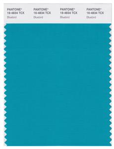 Pantone Smart 16-4834 TCX Color Swatch Card | Bluebird 