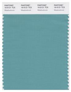 Pantone Smart 16-5121 TCX Color Swatch Card | Meadowbrook 