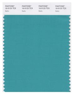 Pantone Smart 16-5123 TCX Color Swatch Card | Baltic 