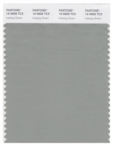 Pantone Smart 16-5808 TCX Color Swatch Card | Iceberg Green 