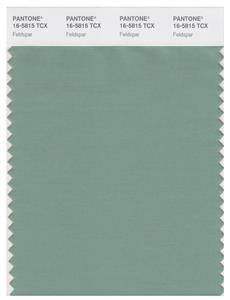 Pantone Smart 16-5815 TCX Color Swatch Card | Feldspar 