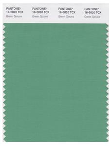 Pantone Smart 16-5820 TCX Color Swatch Card | Green Spruce 