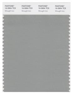 Pantone Smart 16-5904 TCX Color Swatch Card | Wrought Iron 