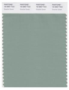 Pantone Smart 16-5907 TCX Color Swatch Card | Granite Green 