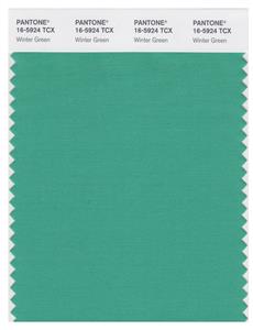 Pantone Smart 16-5924 TCX Color Swatch Card | Winter Green 