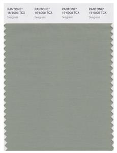 Pantone Smart 16-6008 TCX Color Swatch Card | Seagrass 