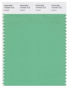 Pantone Smart 16-6030 TCX Color Swatch Card | Katydid 