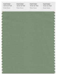 Pantone Smart 16-6116 TCX Color Swatch Card | Shale Green 