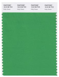 Pantone Smart 16-6138 TCX Color Swatch Card | Kelly Green 