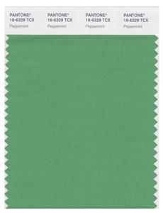 Pantone Smart 16-6329 TCX Color Swatch Card | Peppermint 