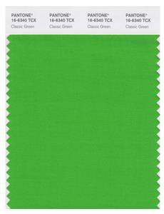 Pantone Smart 16-6340 TCX Color Swatch Card | Classic Green 