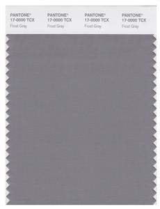 Pantone Smart 17-0000 TCX Color Swatch Card | Frost Gray 