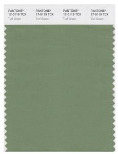 Pantone Smart 17-0119 TCX Color Swatch Card | Turf Green 