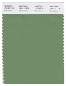 Pantone Smart 17-0123 TCX Color Swatch Card | Stone Green 