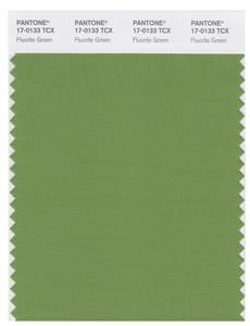 Pantone Smart 17-0133 TCX Color Swatch Card | Fluorite Green 