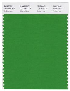 Pantone Smart 17-0145 TCX Color Swatch Card | Online Lime 