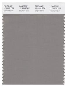 Pantone Smart 17-0205 TCX Color Swatch Card | Elephant Skin 