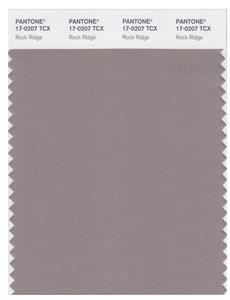 Pantone Smart 17-0207 TCX Color Swatch Card | Rock Ridge 