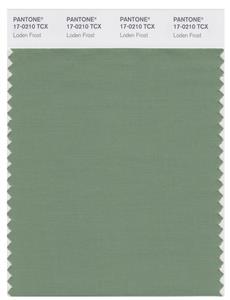 Pantone Smart 17-0210 TCX Color Swatch Card | London Frost 