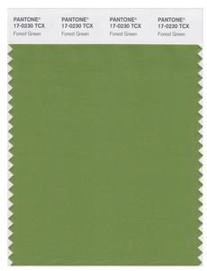 Pantone Smart 17-0230 TCX Color Swatch Card | Forest Green 