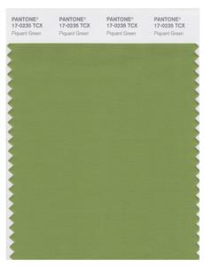 Pantone Smart 17-0235 TCX Color Swatch Card | Piquant Green 