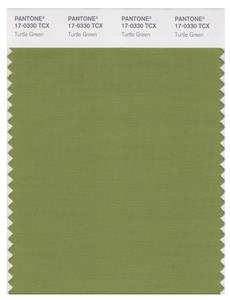 Pantone Smart 17-0330 TCX Color Swatch Card | Turtle Green 