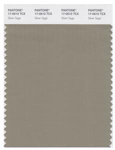 Pantone Smart 17-0510 TCX Color Swatch Card | Silver Sage 