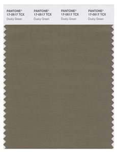 Pantone Smart 17-0517 TCX Color Swatch Card | Dusky Green 