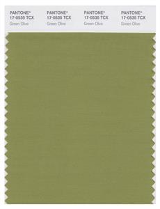 Pantone Smart 17-0535 TCX Color Swatch Card | Green Olive 