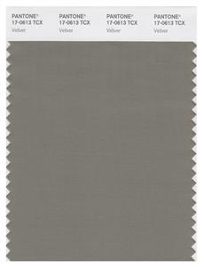 Pantone Smart 17-0613 TCX Color Swatch Card | Vetiver 